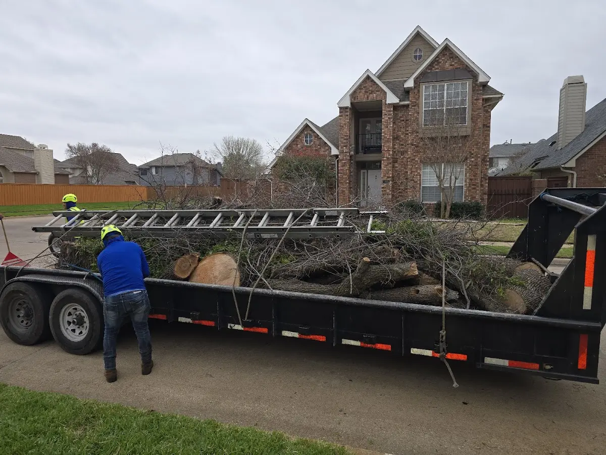 Expert Tree Pest Control with proper safety equipment in Romulus